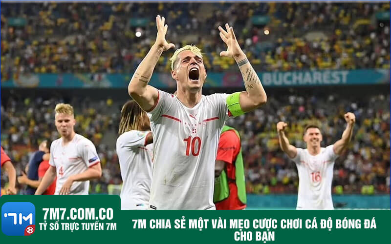 7M chia sẻ một vài Mẹo cược chơi cá độ bóng đá cho bạn