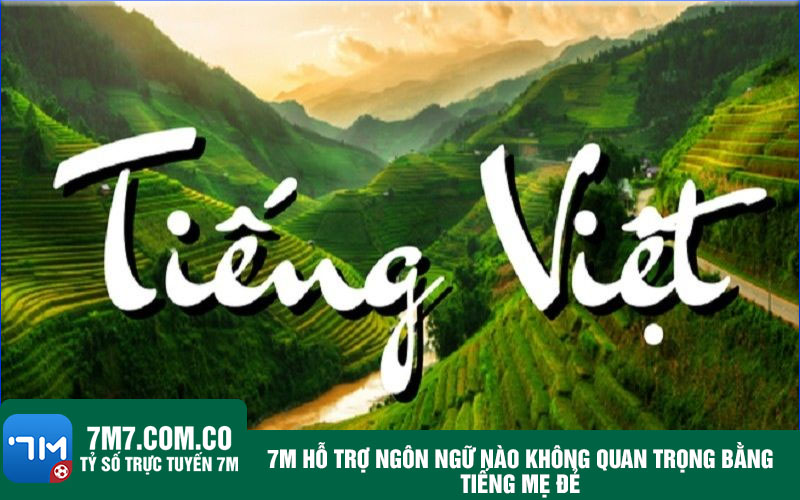 7m ho tro ngon ngu nao khong quan trong bang tieng me de 7m hỗ trợ ngôn ngữ nào không quan trọng bằng tiếng mẹ đẻ