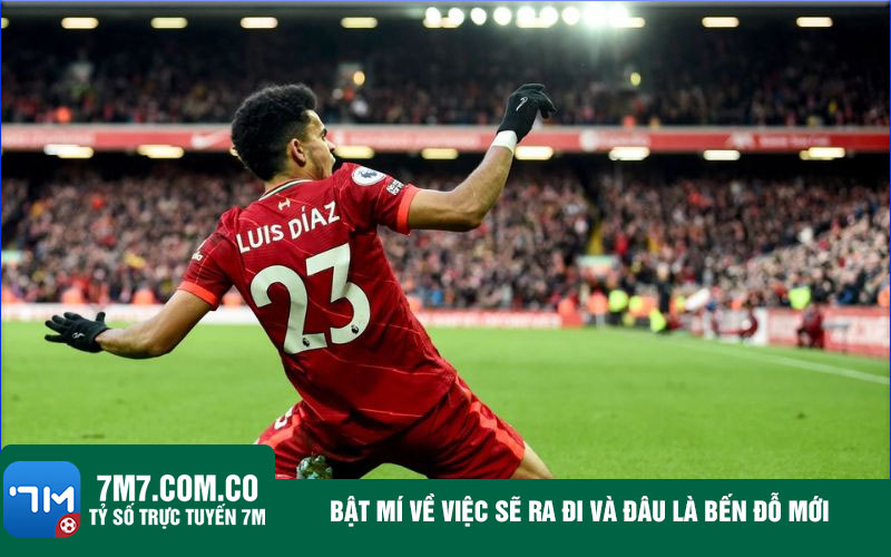 Bat mi ve viec se ra di va dau la ben do moi Bật mí về việc sẽ ra đi và đâu là bến đỗ mới