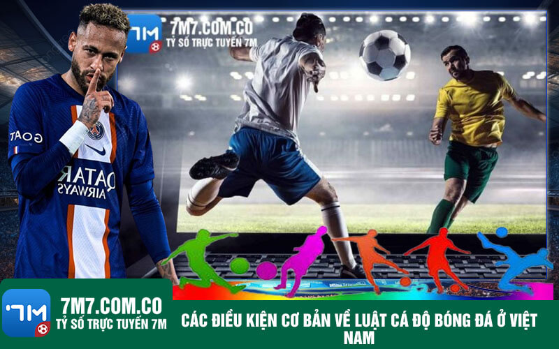 Cac dieu kien co ban ve luat ca do bong da o Viet Nam Các điều kiện cơ bản về luật cá độ bóng đá ở Việt Nam