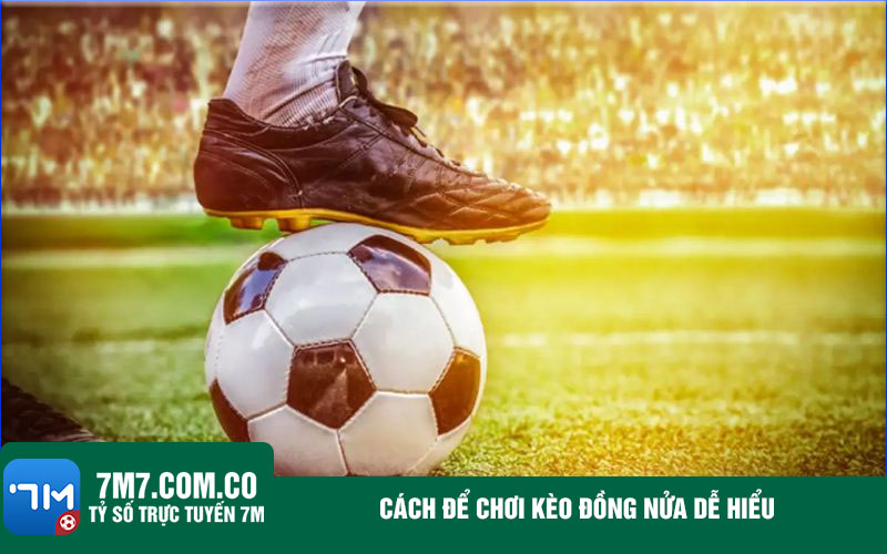 Cach de choi keo dong nua de hieu Cách để chơi kèo đồng nửa dễ hiểu
