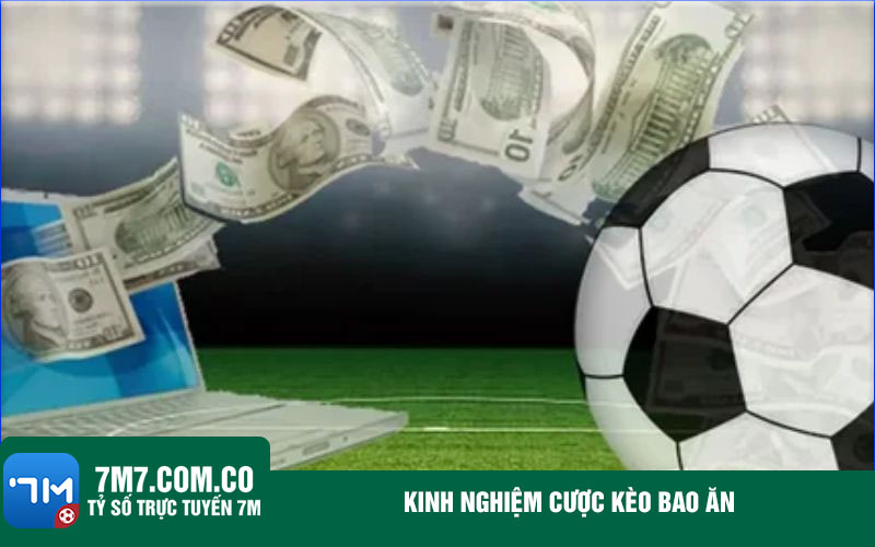 Kinh nghiem cuoc keo bao an Kinh nghiệm cược kèo bao ăn