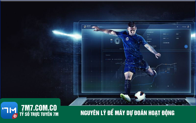Nguyen ly de may du doan hoat dong Nguyên lý để máy dự đoán hoạt động