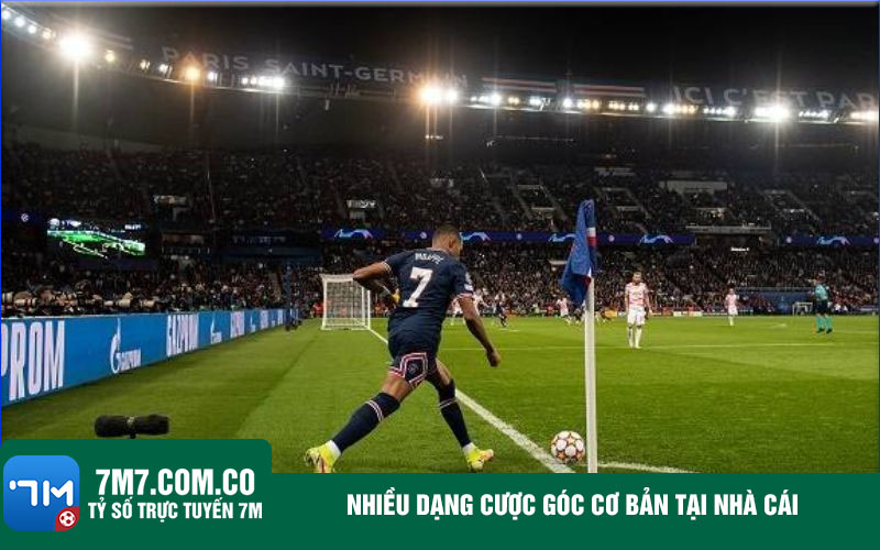 Nhieu dang cuoc goc co ban tai nha cai Nhiều dạng cược góc cơ bản tại nhà cái