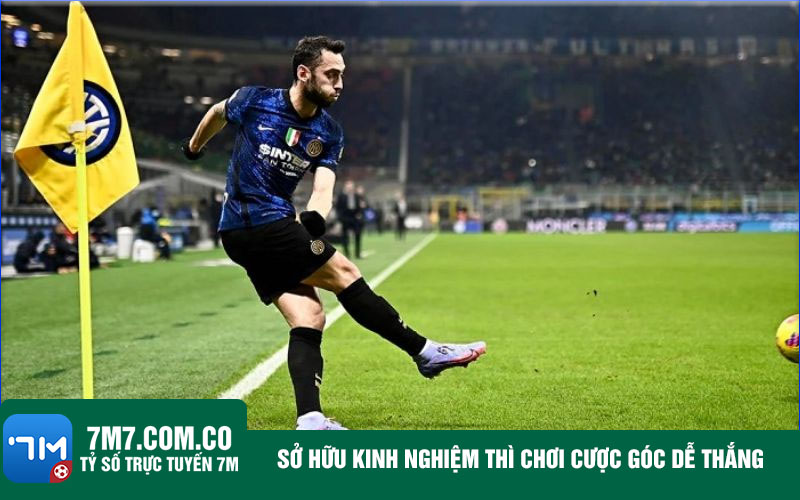 So huu kinh nghiem thi choi cuoc goc de thang Sở hữu kinh nghiệm thì chơi cược góc dễ thắng