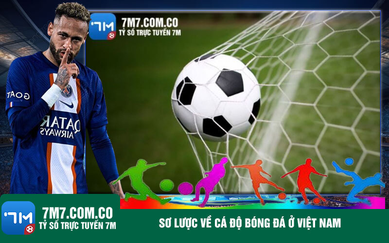 So luoc ve ca do bong da o Viet Nam Sơ lược về cá độ bóng đá ở Việt Nam