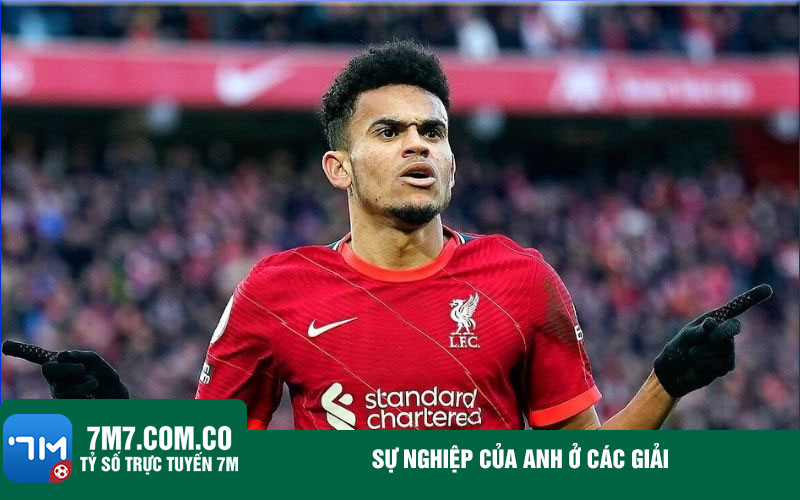 Su nghiep cua anh o cac giai Sự nghiệp của anh ở các giải
