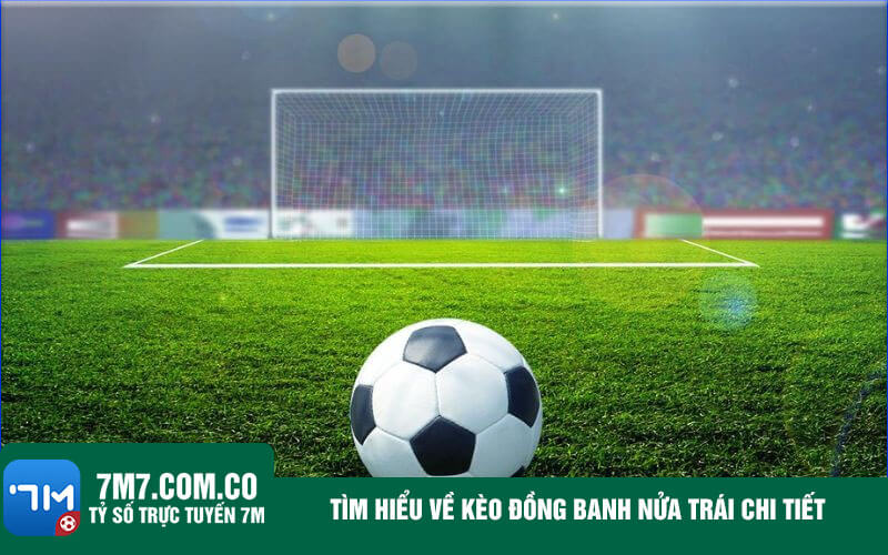 Tim hieu ve keo dong banh nua trai chi tiet Tìm hiểu về kèo đồng banh nửa trái chi tiết