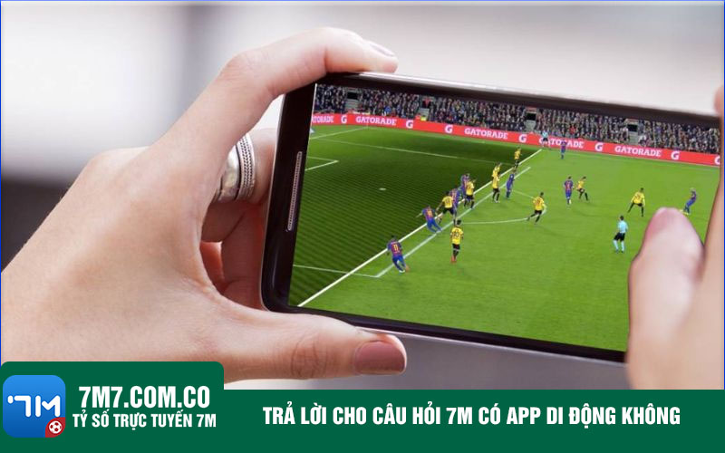 Tra loi cho cau hoi 7m co app di dong khong Trả lời cho câu hỏi trang cá cược bóng đá có app di động không