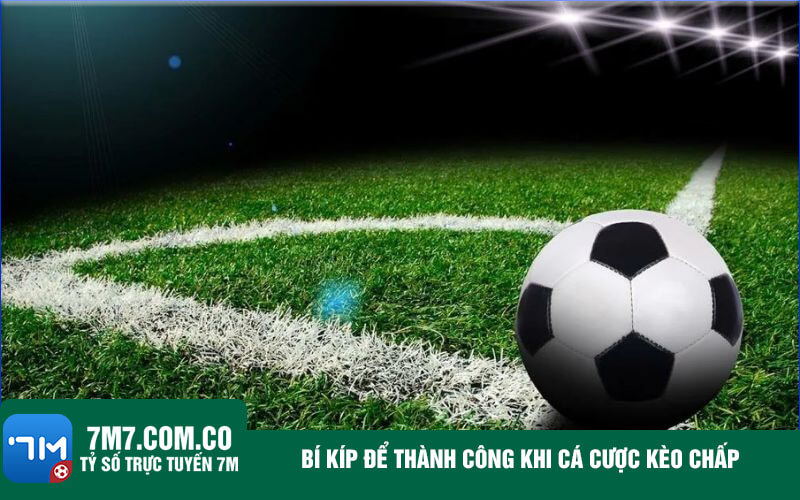 Bi kip de thanh cong khi ca cuoc keo chap Bí kíp để thành công khi cá cược kèo chấp