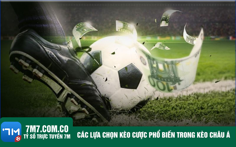 Cac lua chon keo cuoc pho bien trong keo chau A Các lựa chọn kèo cược phổ biến trong kèo châu Á
