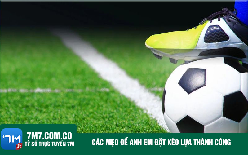 Cac meo de anh em dat keo lua thanh cong Các mẹo để anh em đặt kèo lựa thành công