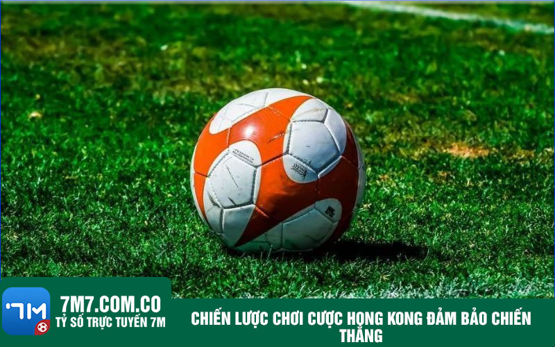 Chien luoc choi cuoc Hong Kong dam bao chien thang Chiến lược chơi cược Hong Kong đảm bảo chiến thắng