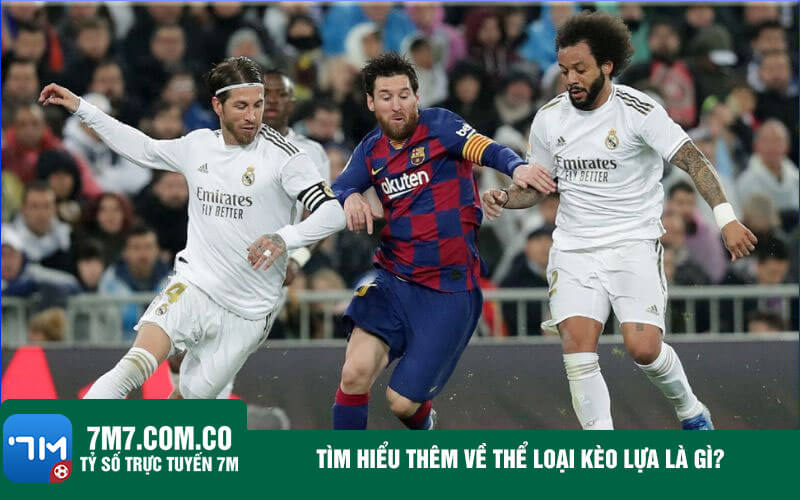 Giai dap thac mac cho keo lua an bao nhieu Giải đáp thắc mắc cho kèo lựa ăn bao nhiêu?
