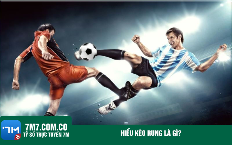 Hieu keo rung la gi Hiểu kèo rung là gì?