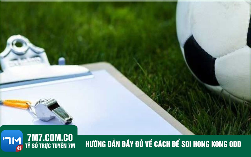 Huong dan day du ve cach de soi Hong Kong Odd Hướng dẫn đầy đủ về cách để soi Hong Kong Odd
