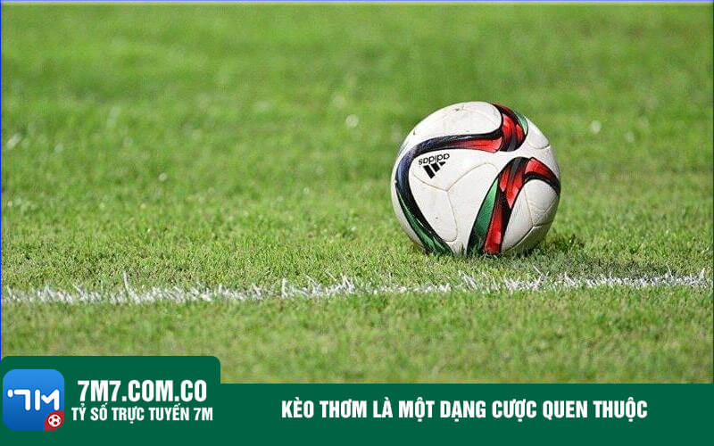 Keo thom la mot dang cuoc quen thuoc Kèo thơm là một dạng cược quen thuộc