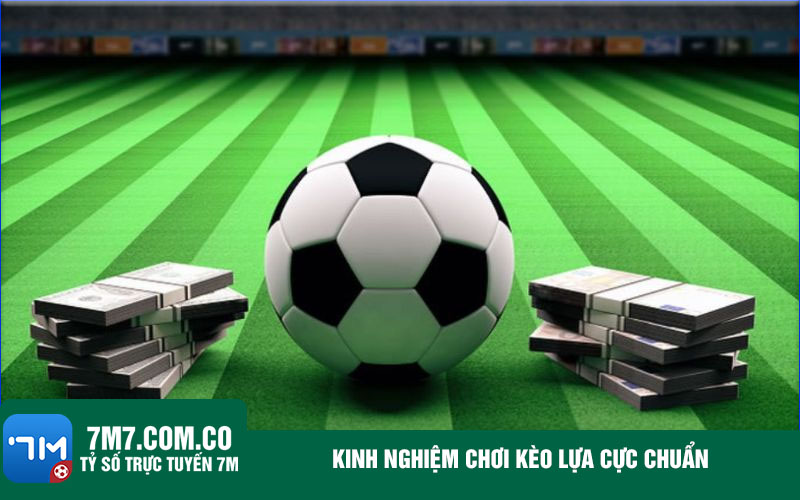 Kinh nghiem choi keo lua cuc chuan Kinh nghiệm chơi kèo lựa cực chuẩn