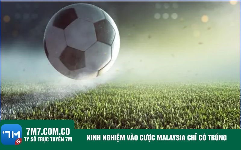 Kinh nghiem vao cuoc Malaysia chi co trung Kinh nghiệm vào cược Malaysia chỉ có trúng