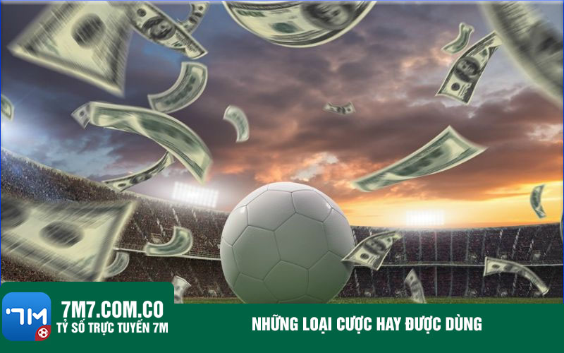Nhung loai cuoc hay duoc dung Những loại cược hay được dùng