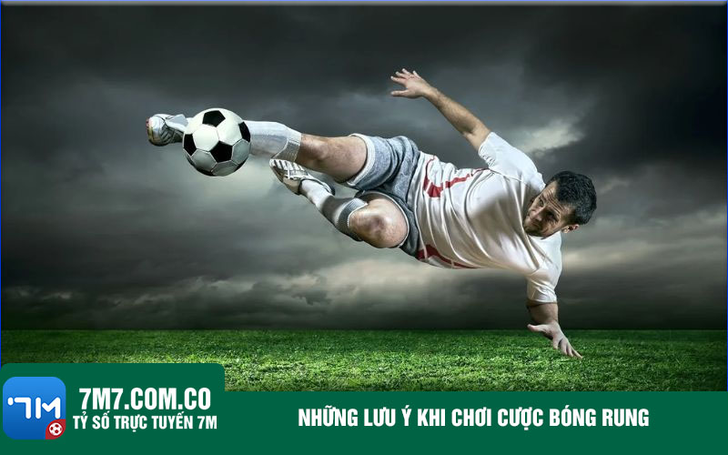 Nhung luu y khi choi cuoc bong rung Những lưu ý khi chơi cược bóng rung
