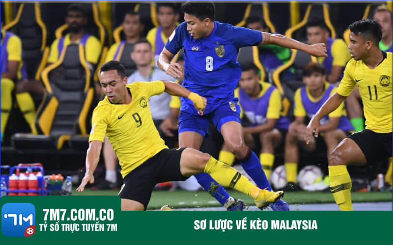 So luoc ve keo Malaysia Sơ lược về kèo Malaysia
