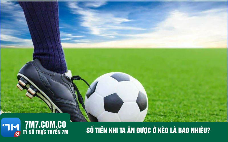 So tien khi ta an duoc o keo la bao nhieu Số tiền khi ta ăn được ở kèo là bao nhiêu?