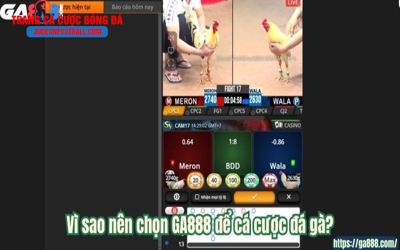ca cuoc bong da 2 Vì sao nên chọn GA888 để cá cược đá gà?